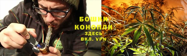крисы Протвино