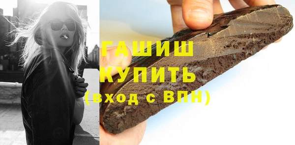 индика Гатчина